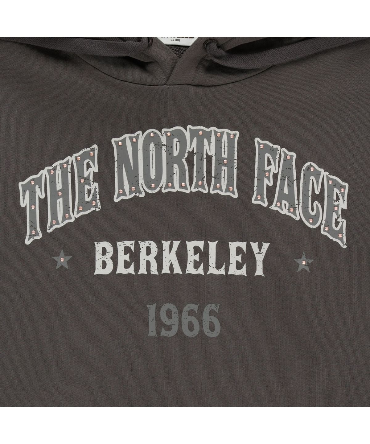 노스페이스(THE NORTH FACE) NM5PR53J 빈티지 후드 풀오버 BROWN