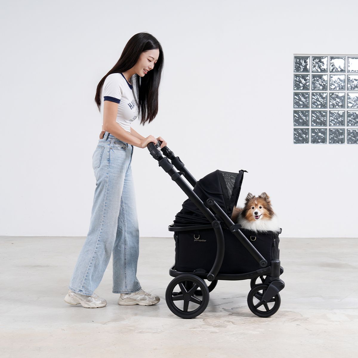 폼포라펫(POMPORAPET) 모두 웨건 강아지유모차 펫웨건 2color