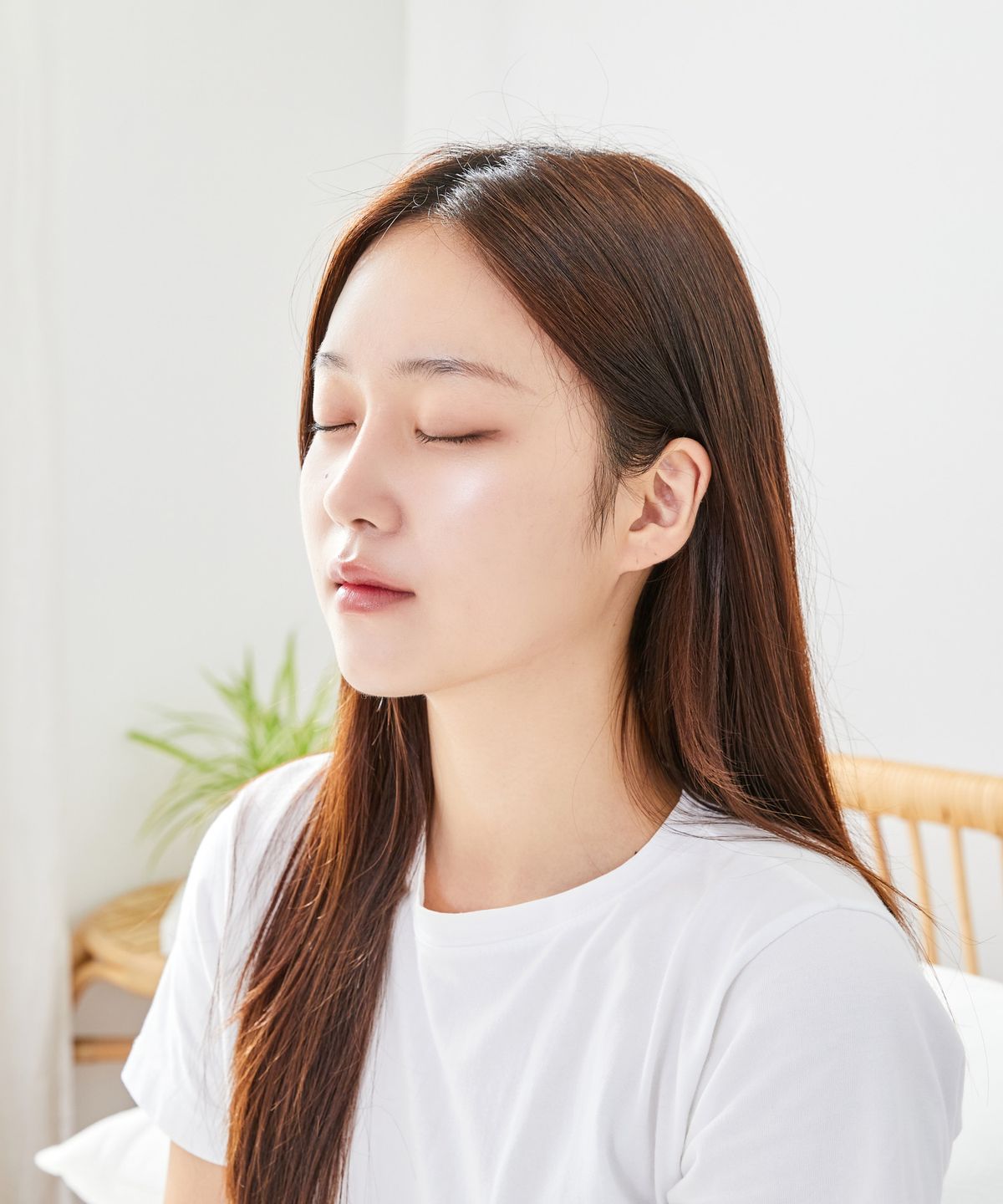 동국제약(DONGKOOK PHARM) 굿잠 병풀 스팀안대 무직타이거 콜라보 10매입