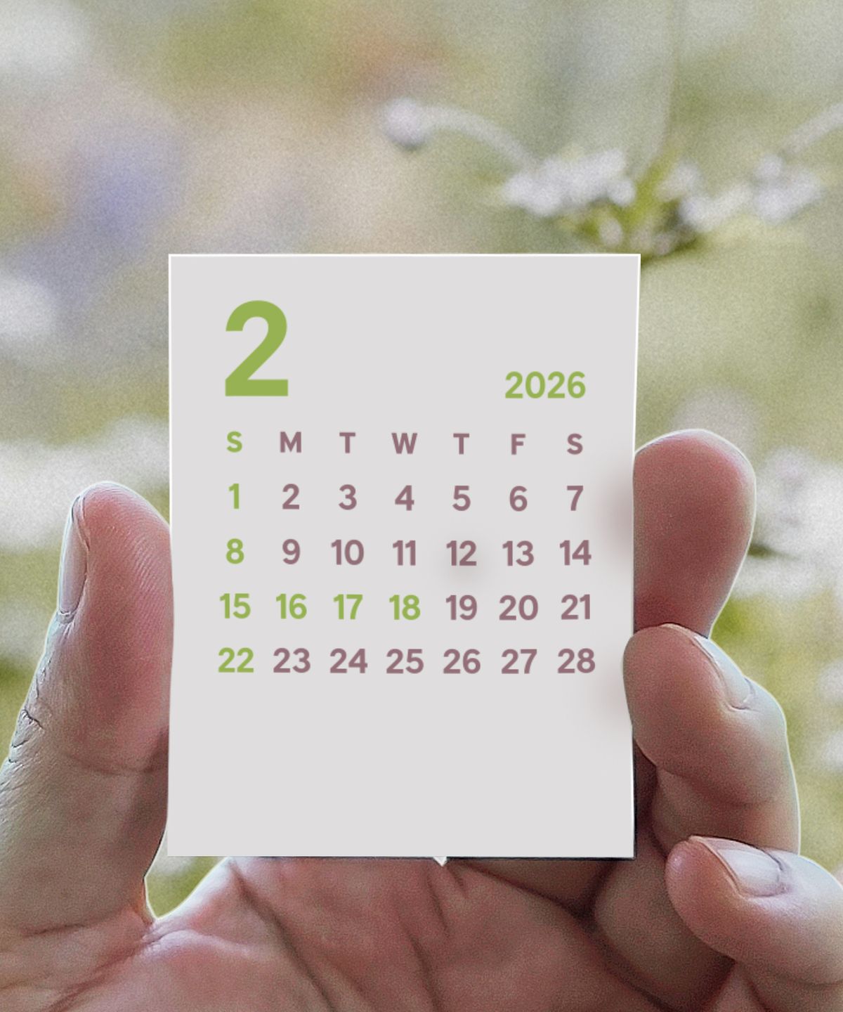 달퐁이네 문방구(DALPHONG) 2026 스프링 가든 스티커 달력 (5개)
