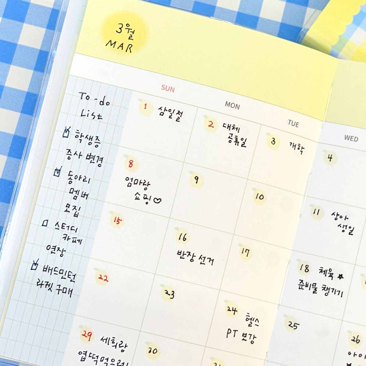 7321디자인(7321DESIGN) 체크 앤 후르츠 만년 데일리 플래너 - 6MONTHS