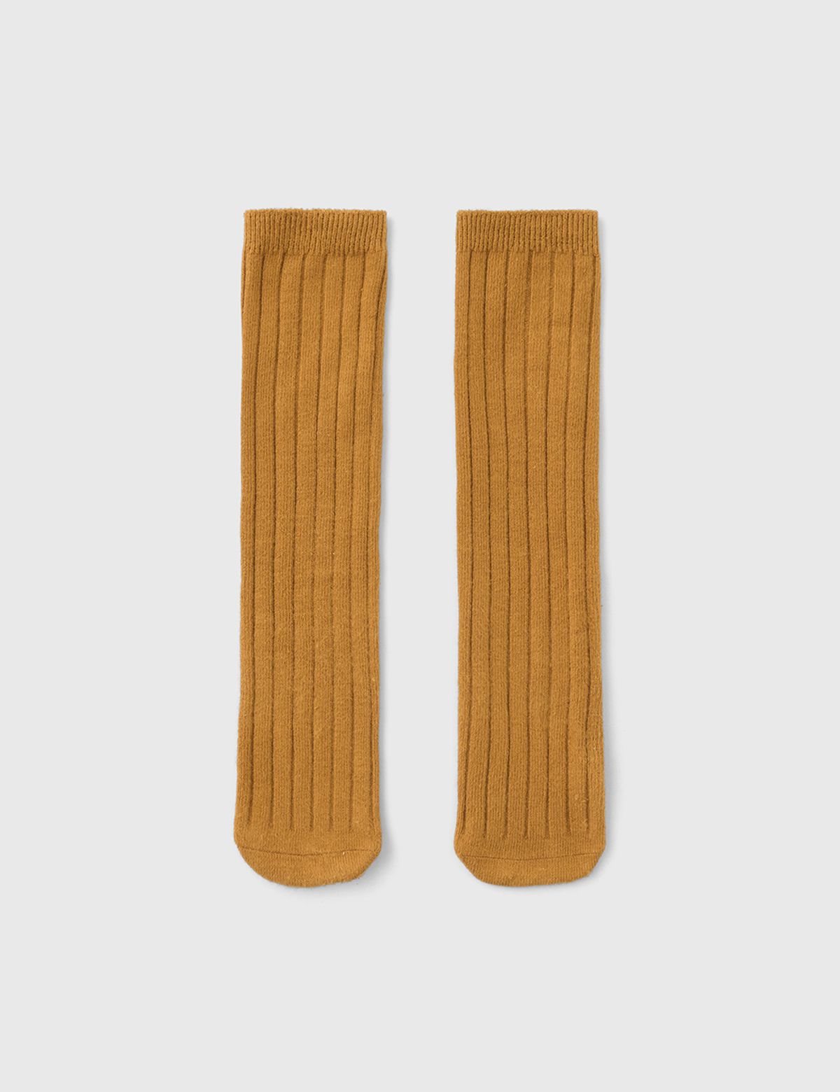 바차차(BACHACHA) 코지 니삭스 5color