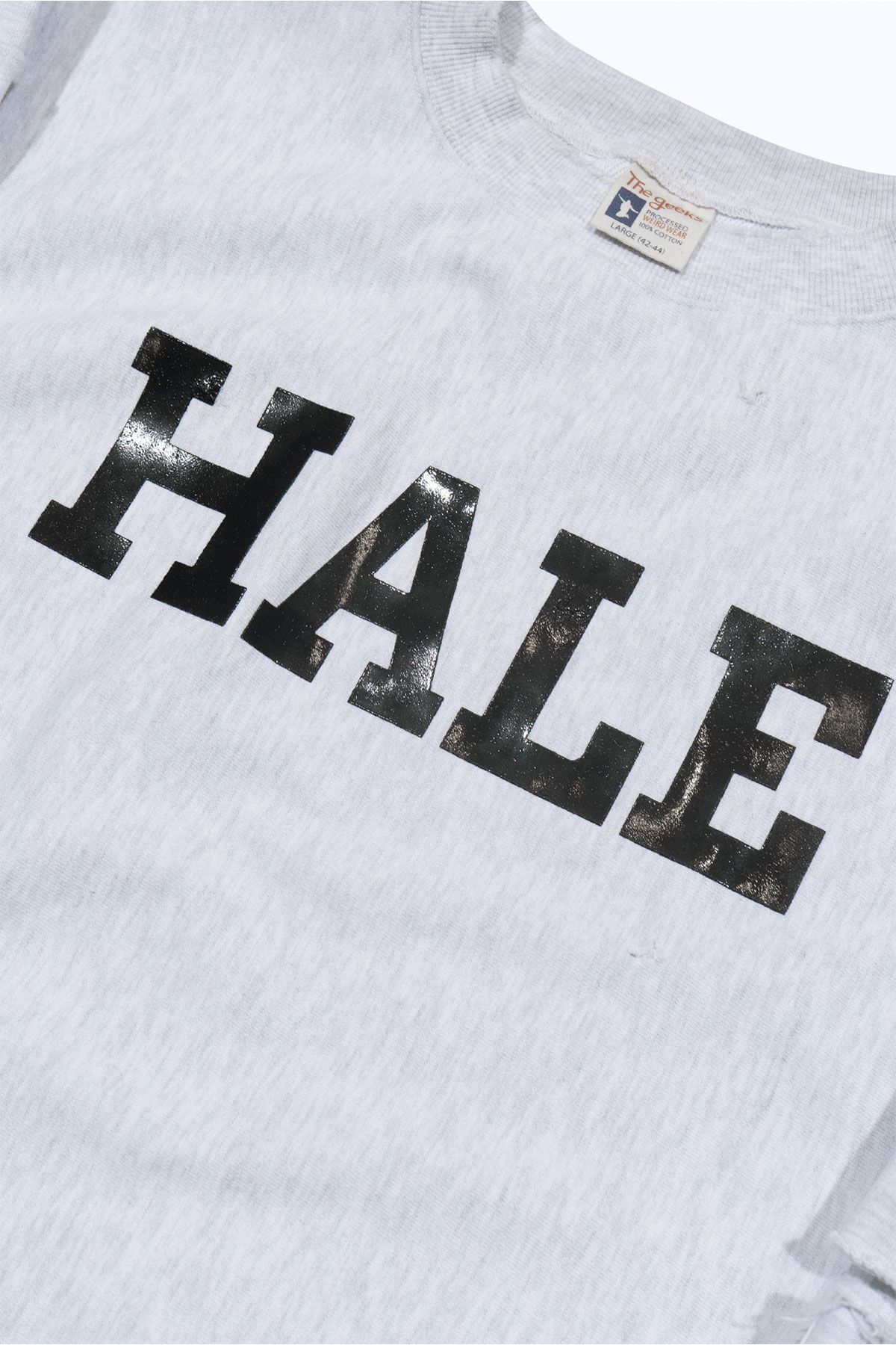 더 긱스(THE GEEKS) Hale college sweat shirt - M.grey