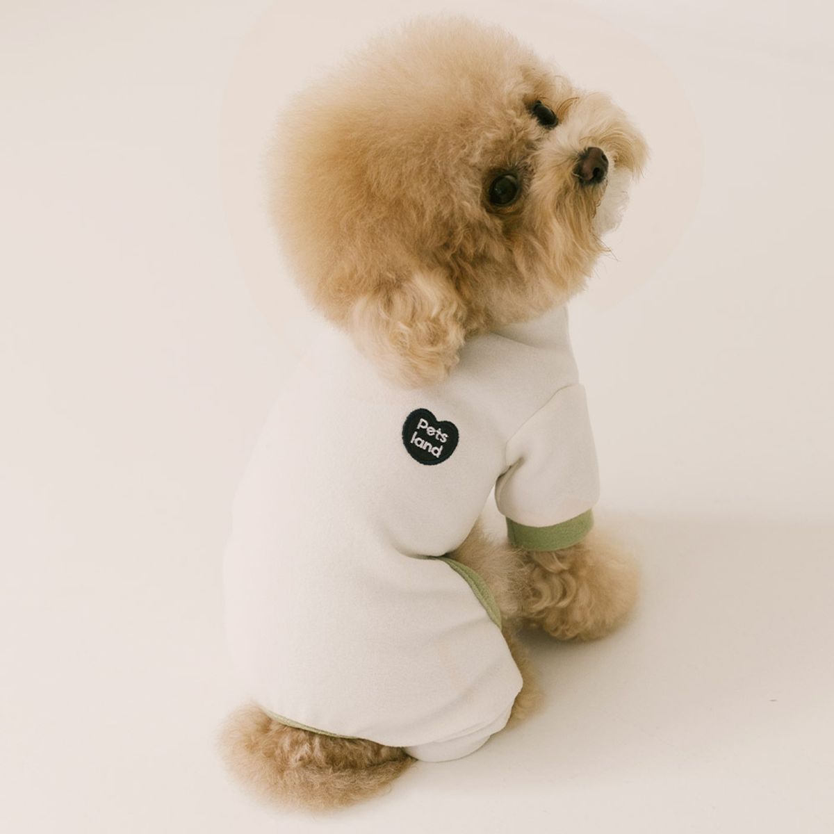 펫츠랜드(PETSLAND) 버터소프트올인원 S-2XL