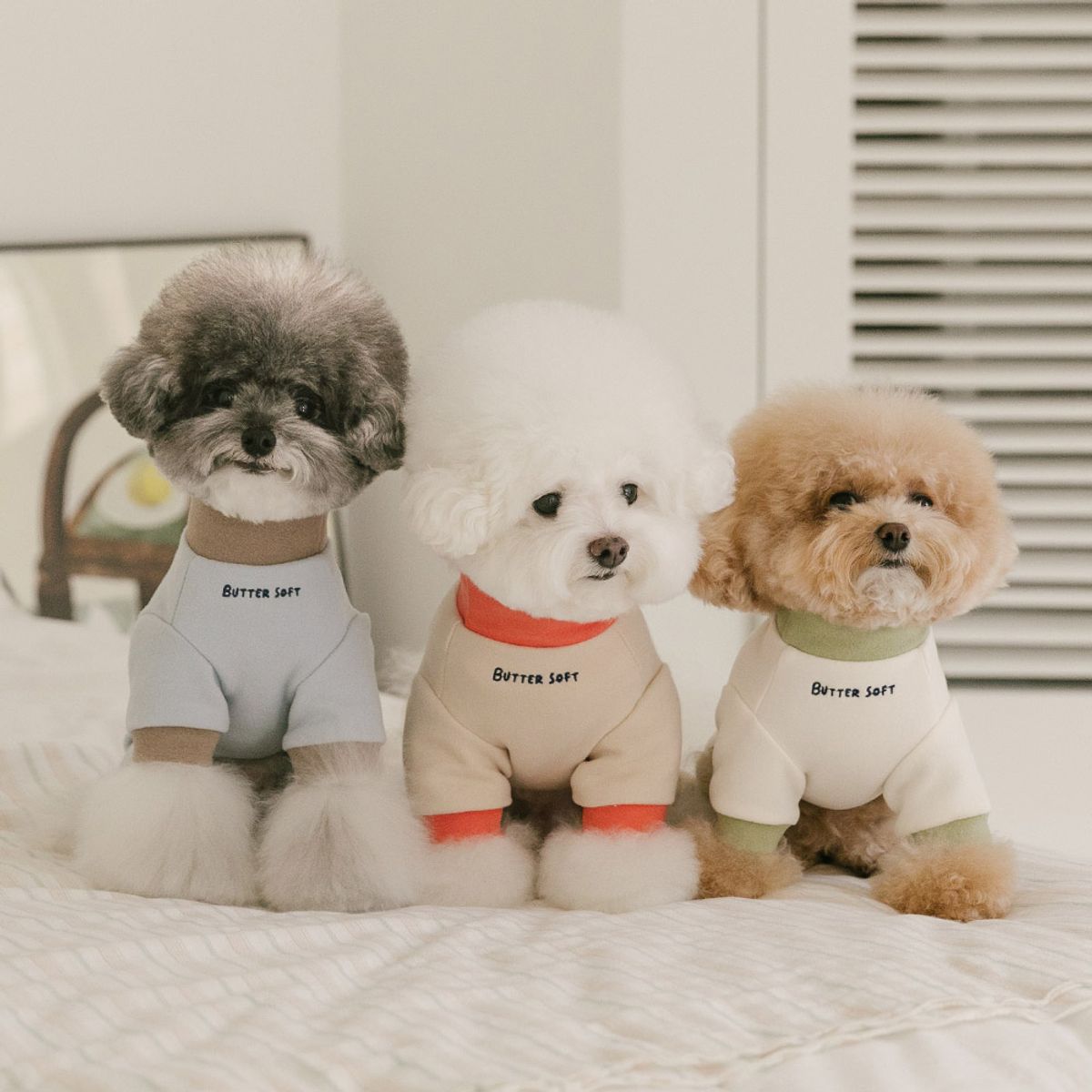펫츠랜드(PETSLAND) 버터소프트올인원 S-2XL