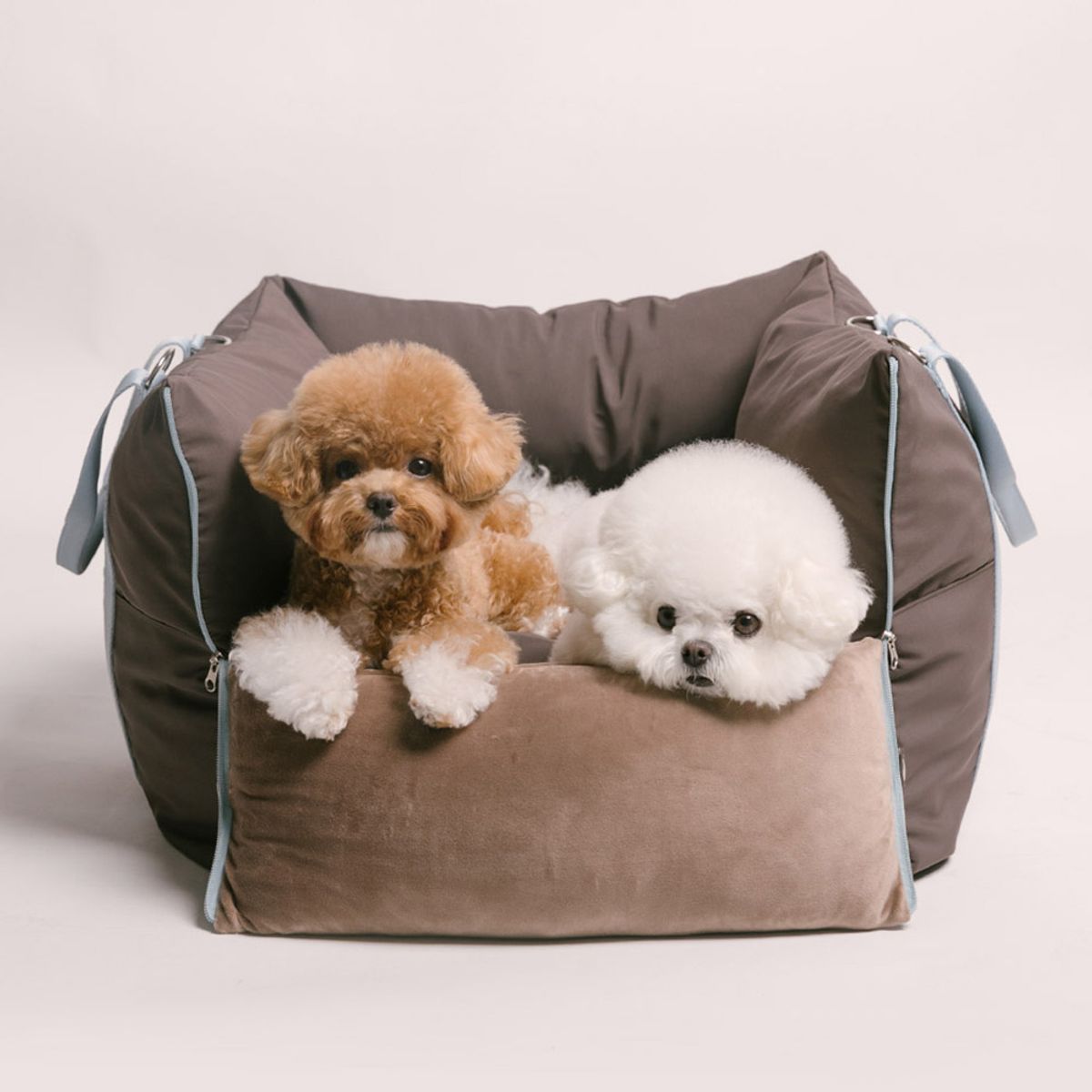 펫츠랜드(PETSLAND) 컴포라카시트