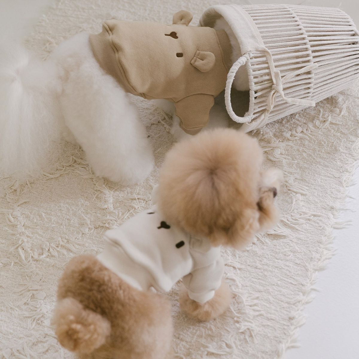 펫츠랜드(PETSLAND) 누베어기모티셔츠 S-XL