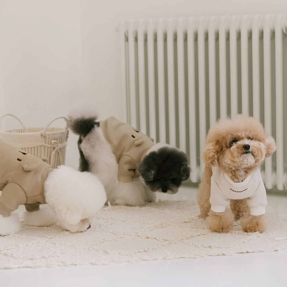 펫츠랜드(PETSLAND) 누베어기모티셔츠 S-XL
