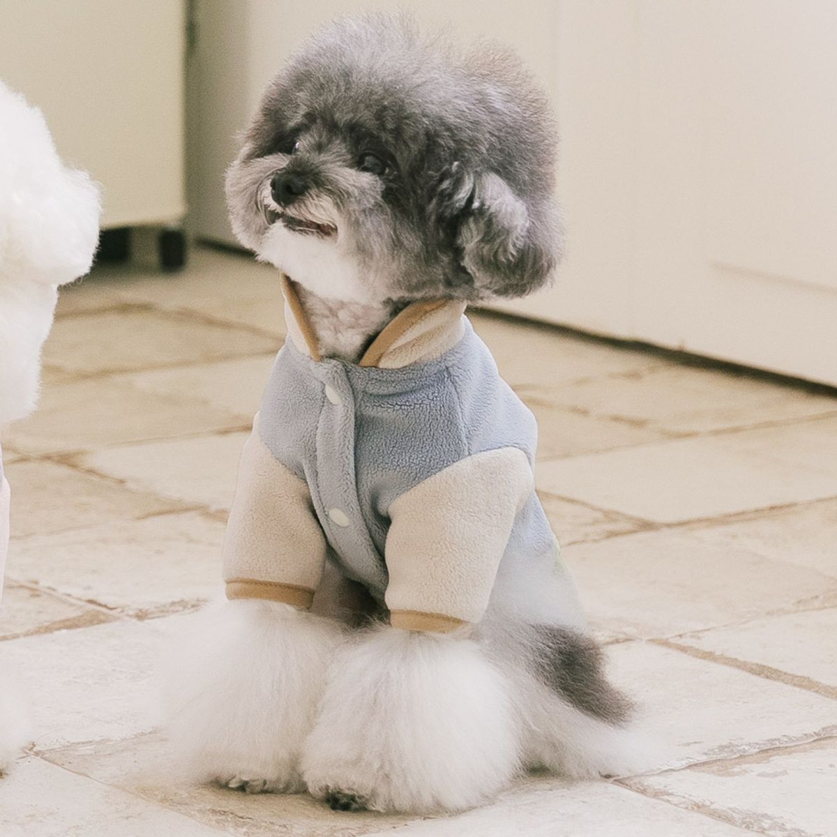 펫츠랜드(PETSLAND) 포코후리스 S-2XL