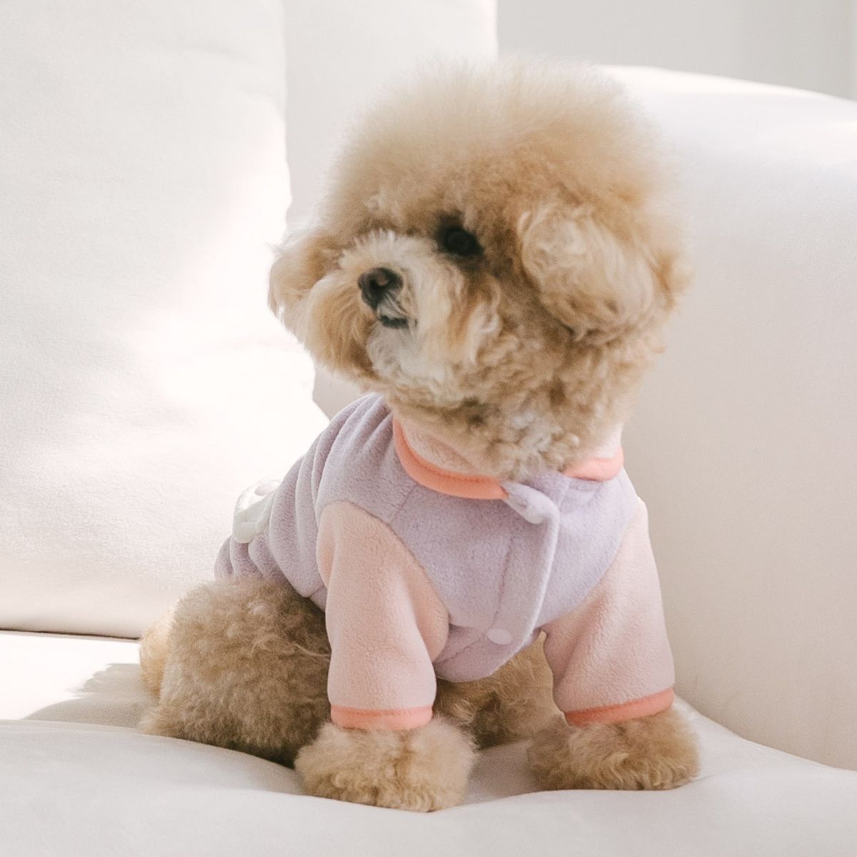 펫츠랜드(PETSLAND) 포코후리스 S-2XL