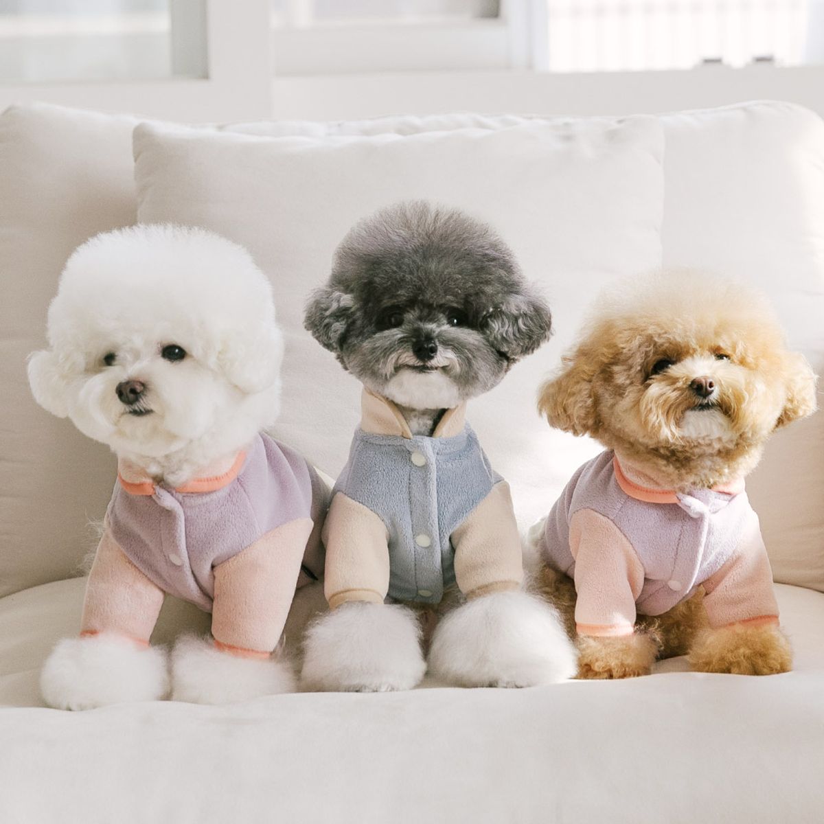 펫츠랜드(PETSLAND) 포코후리스 S-2XL