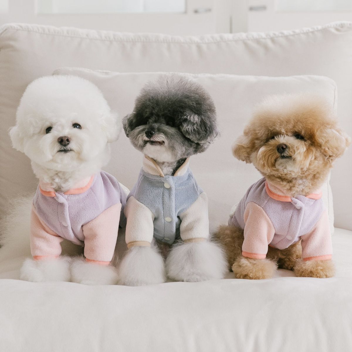 펫츠랜드(PETSLAND) 포코후리스 S-2XL