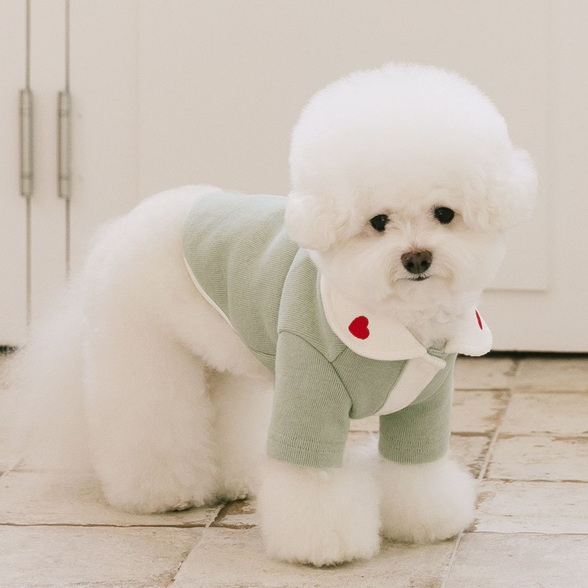 펫츠랜드(PETSLAND) 하트퐁가디건 S-2XL