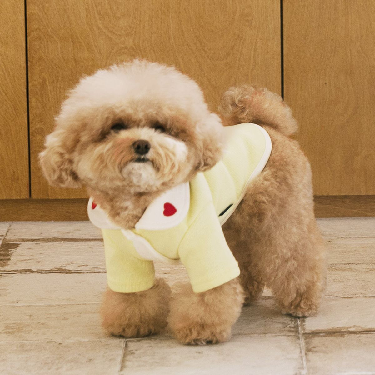 펫츠랜드(PETSLAND) 하트퐁가디건 S-2XL