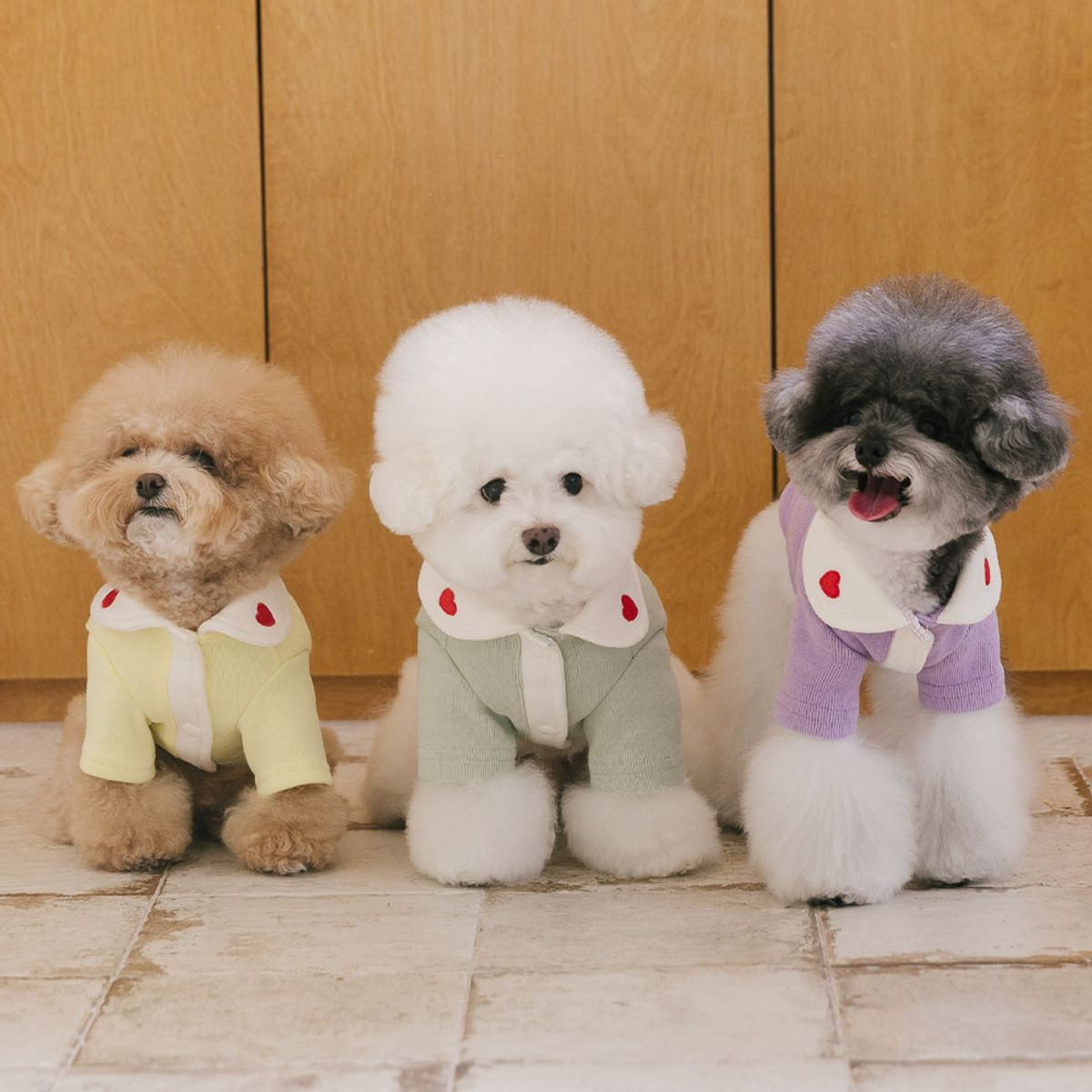펫츠랜드(PETSLAND) 하트퐁가디건 S-2XL