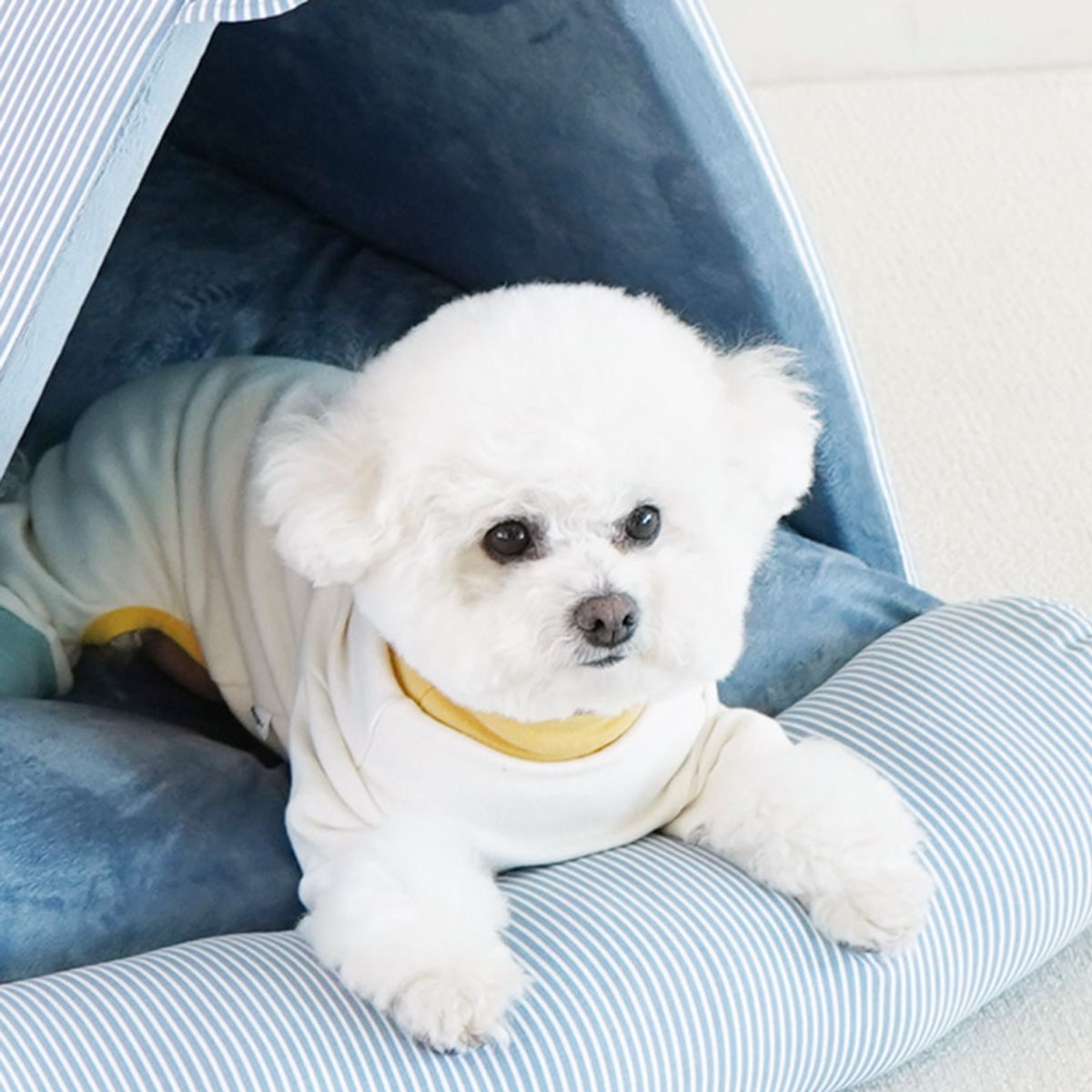 개과천선(GAEKWACHEONSUN) 리티시 삼각 하우스 강아지 하우스