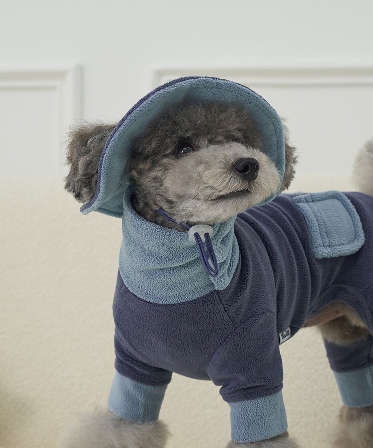 베일리(BAILEY) 강아지 모자 후리스 버킷햇 네이비