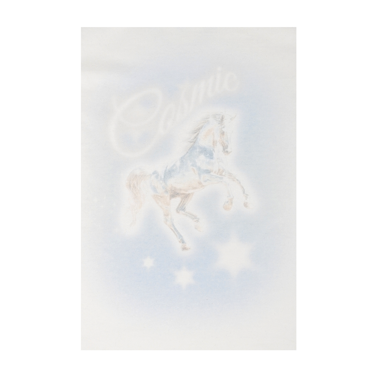 이알티알(ERTR) [ERTR X 니들]Cosmic Horse L/S T-shirt Small Fit (white)