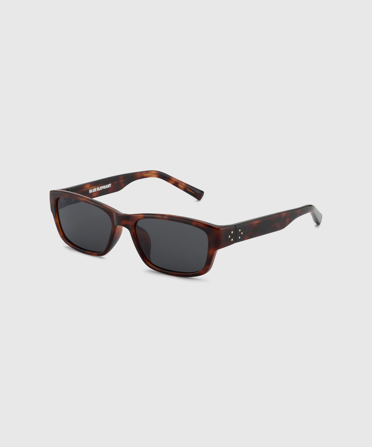 블루엘리펀트(BLUE ELEPHANT) VILLA leopard