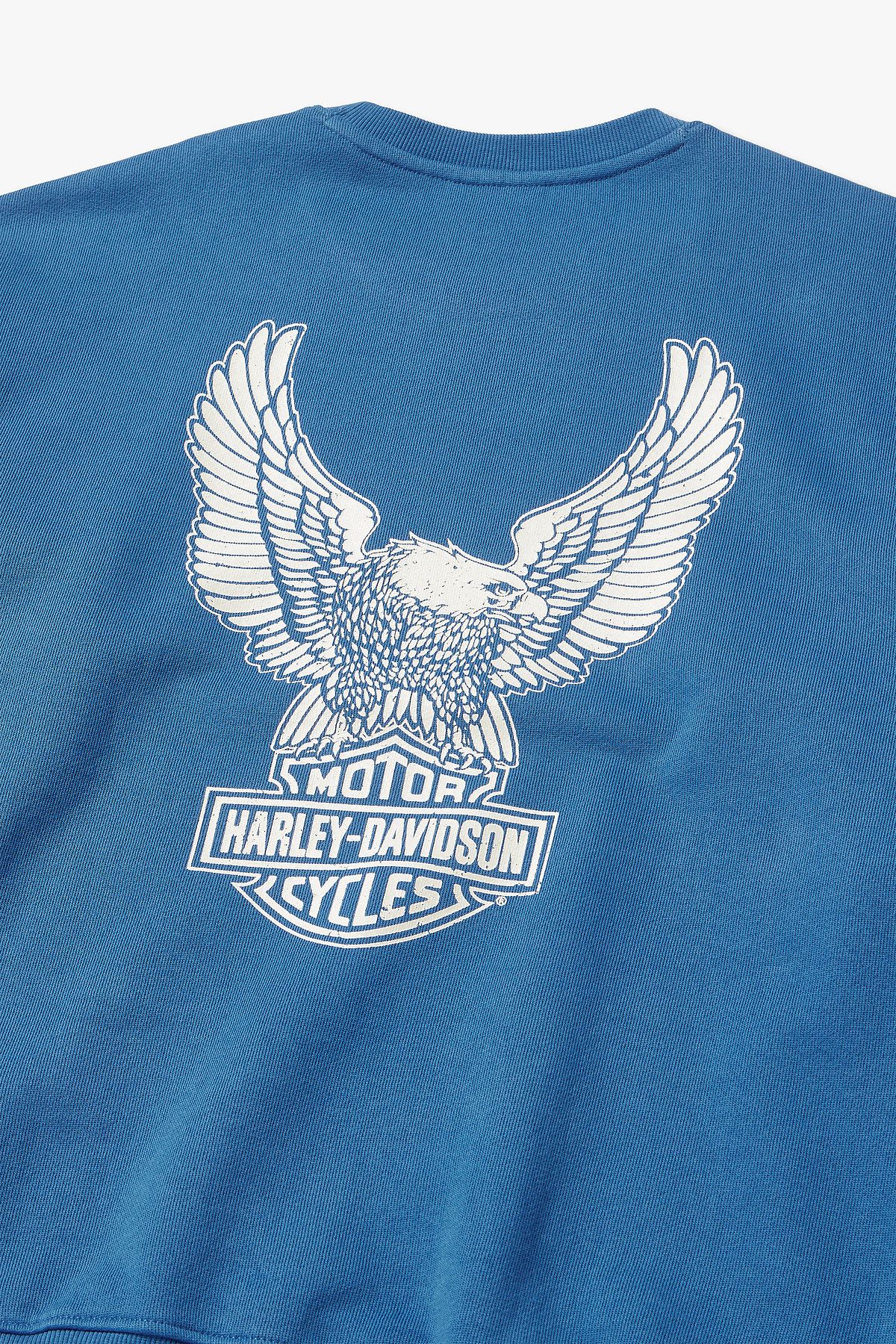 할리데이비슨 컬렉션스®(HARLEY-DAVIDSON COLLECTIONS®) 할리데이비슨 이글 맨투맨 티셔츠 _블루 HH15309331