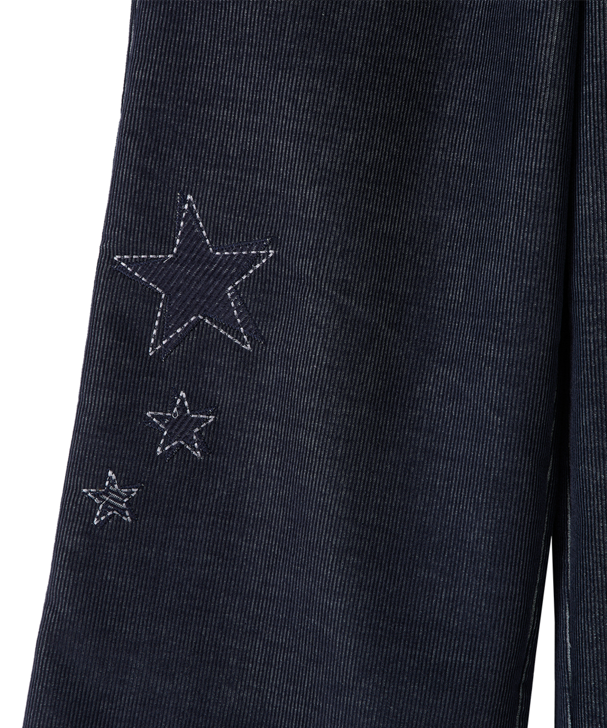 단델(DANDEL) DD star applique corduroy pants (INDIGO)