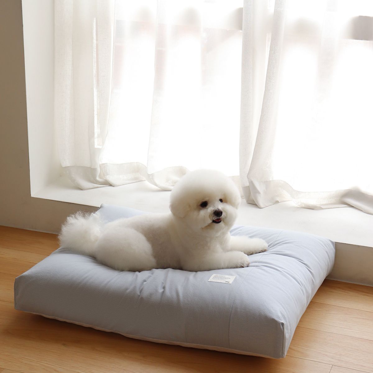 쉬오트(CHIOT) 쉬오트 컴포트 카밍 베드 (4color)