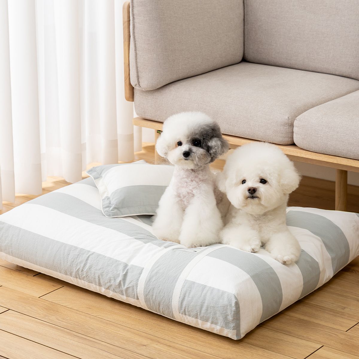 쉬오트(CHIOT) 쉬오트 컴포트 카밍 베드-코지ST (3color)