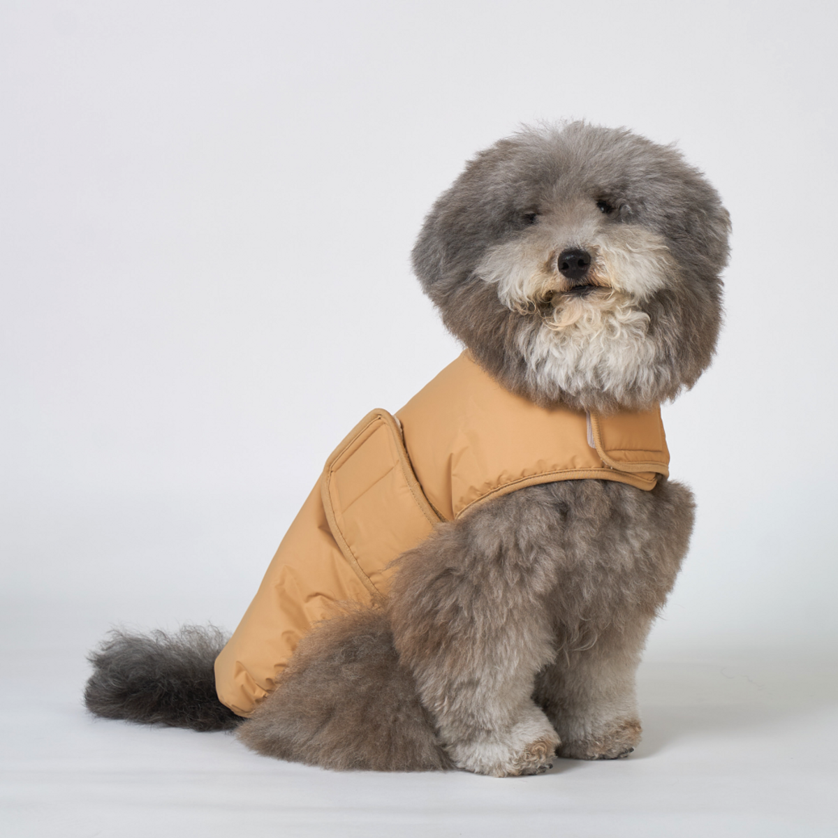 엔젤도그(ANGEL DOG) 개따뜨텍 강아지 숏패딩 Beige