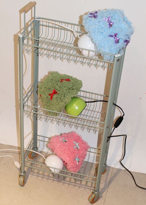 Thumbnail 1