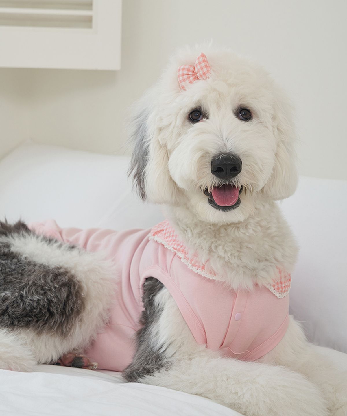 베일리(BAILEY) 중형견 대형견 강아지실내복 코지 세라티 핑크
