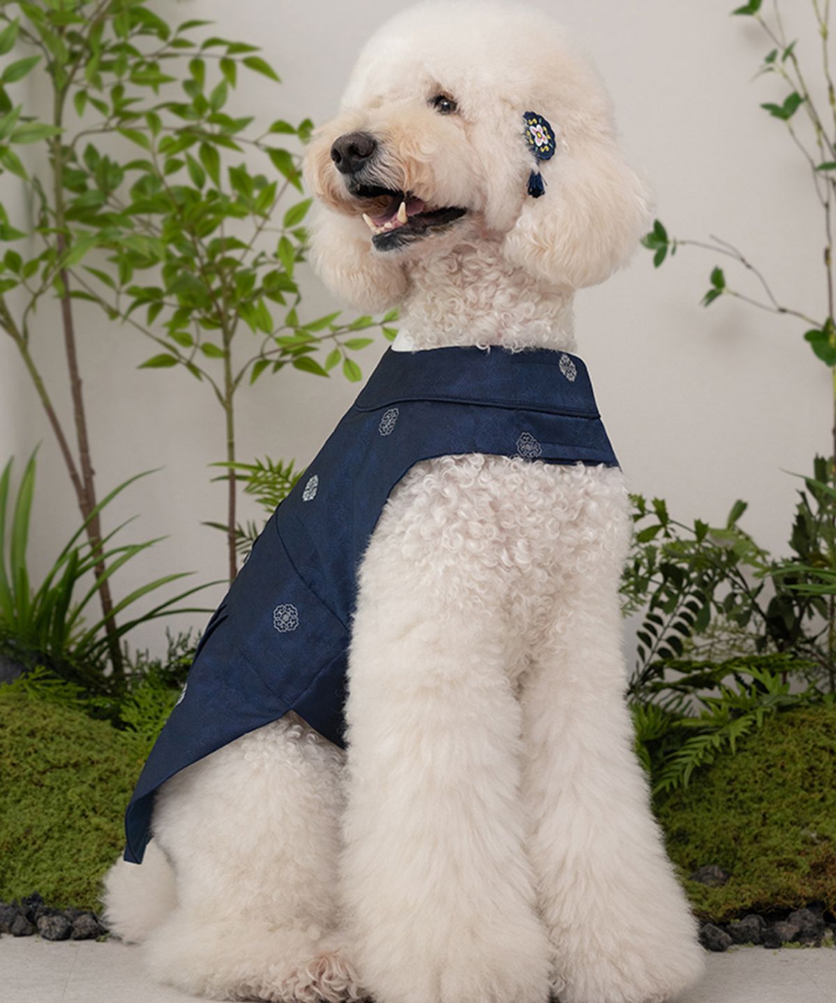 베일리(BAILEY) 중형견 대형견 강아지 향균 용포 한복 세자감색