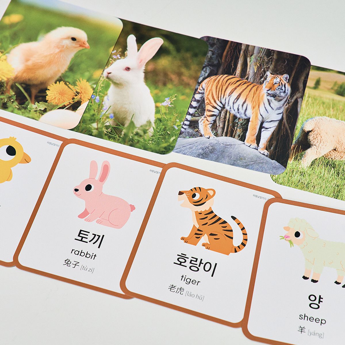 하뚱(HATTUNG) 하뚱낱말카드 (세이펜 호환)