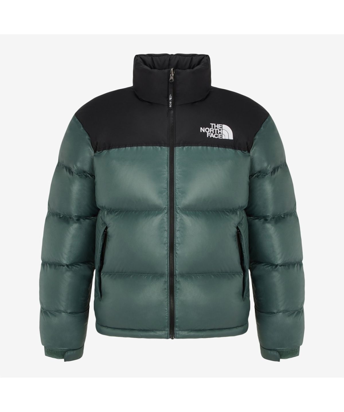 노스페이스(THE NORTH FACE) NJ1DR65G 남성 1996 레트로 눕시 자켓 GREEN