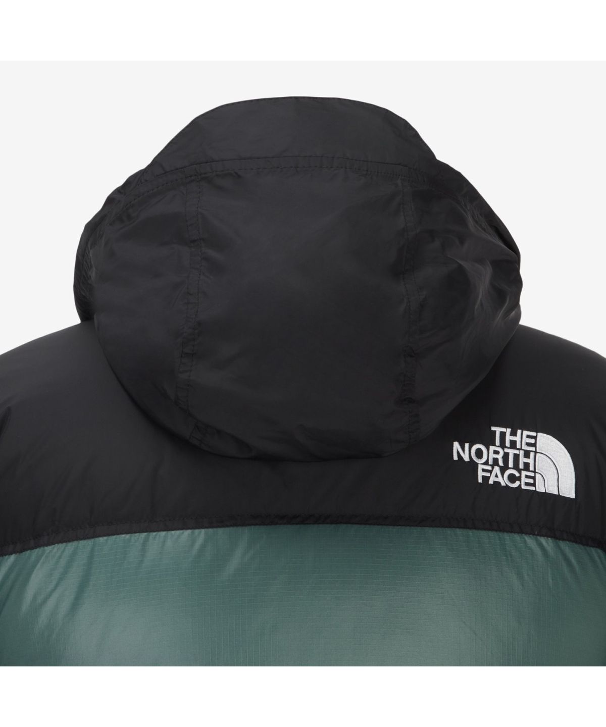 노스페이스(THE NORTH FACE) NJ1DR65G 남성 1996 레트로 눕시 자켓 GREEN