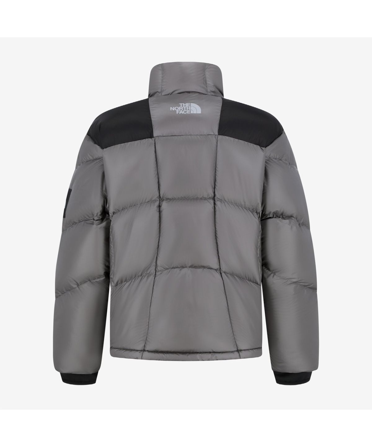노스페이스(THE NORTH FACE) NJ1DR57L 듀론 다운 자켓 (RDS) BROWNIE