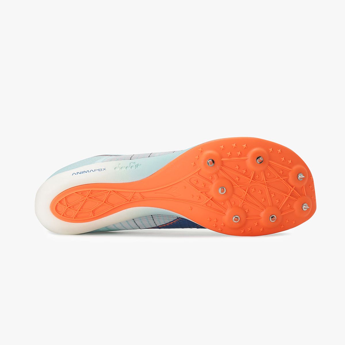 디아도라(diadora) 벨로시타 카본 BLUE