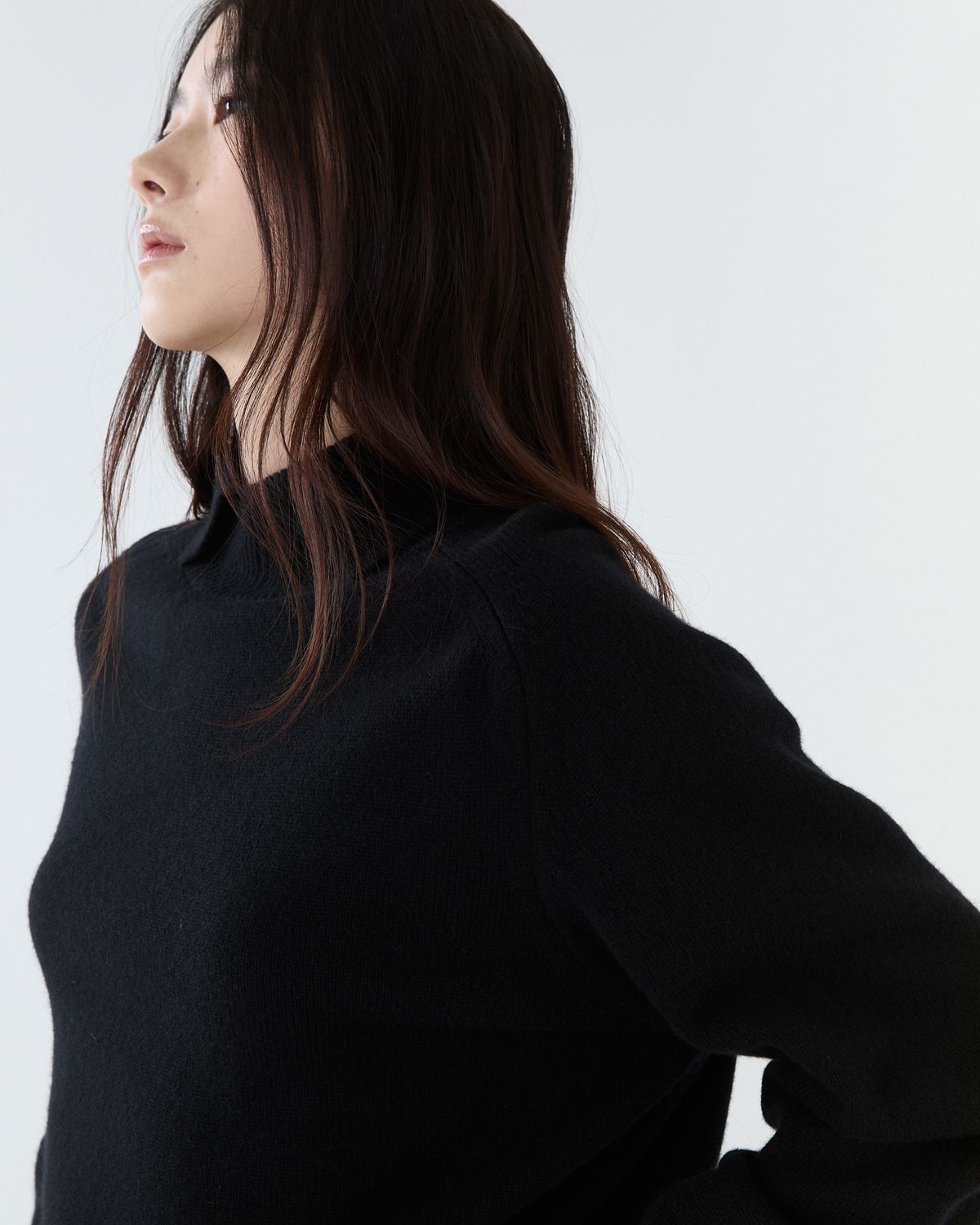 디앤드퀘스천(THEENDQUESTION) Turtle crop knit top / BLACK