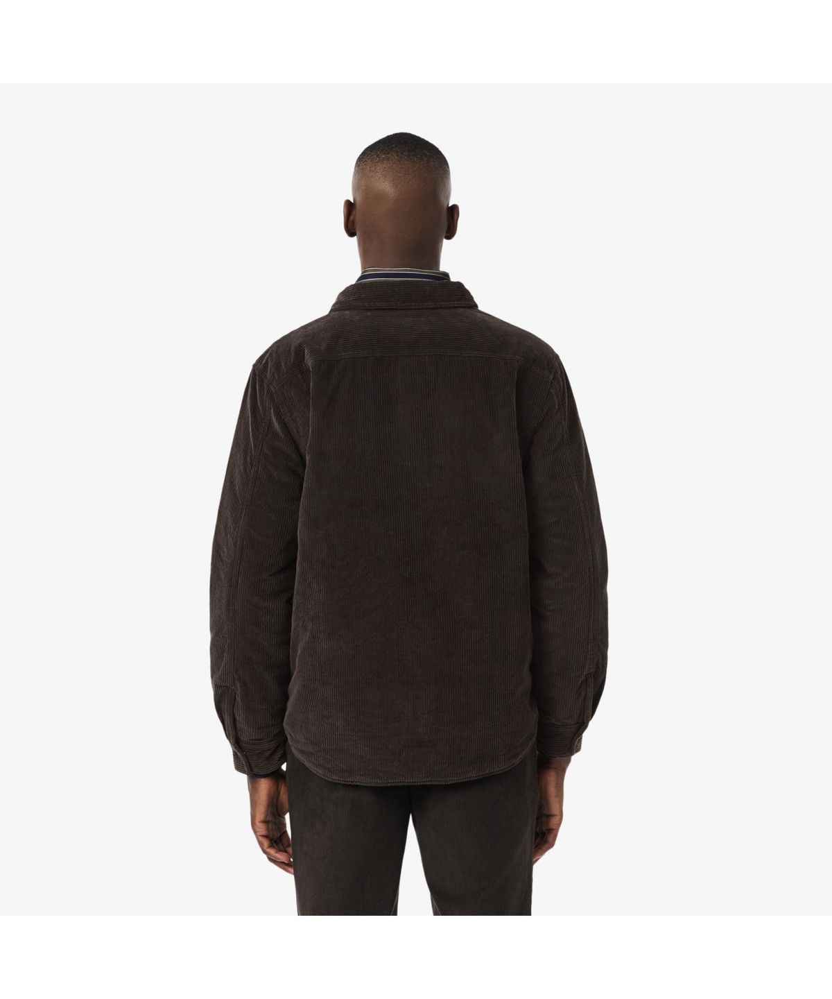 라코스테(LACOSTE) 남성 코듀로이 패딩 셔켓 CH7211-55N SKB