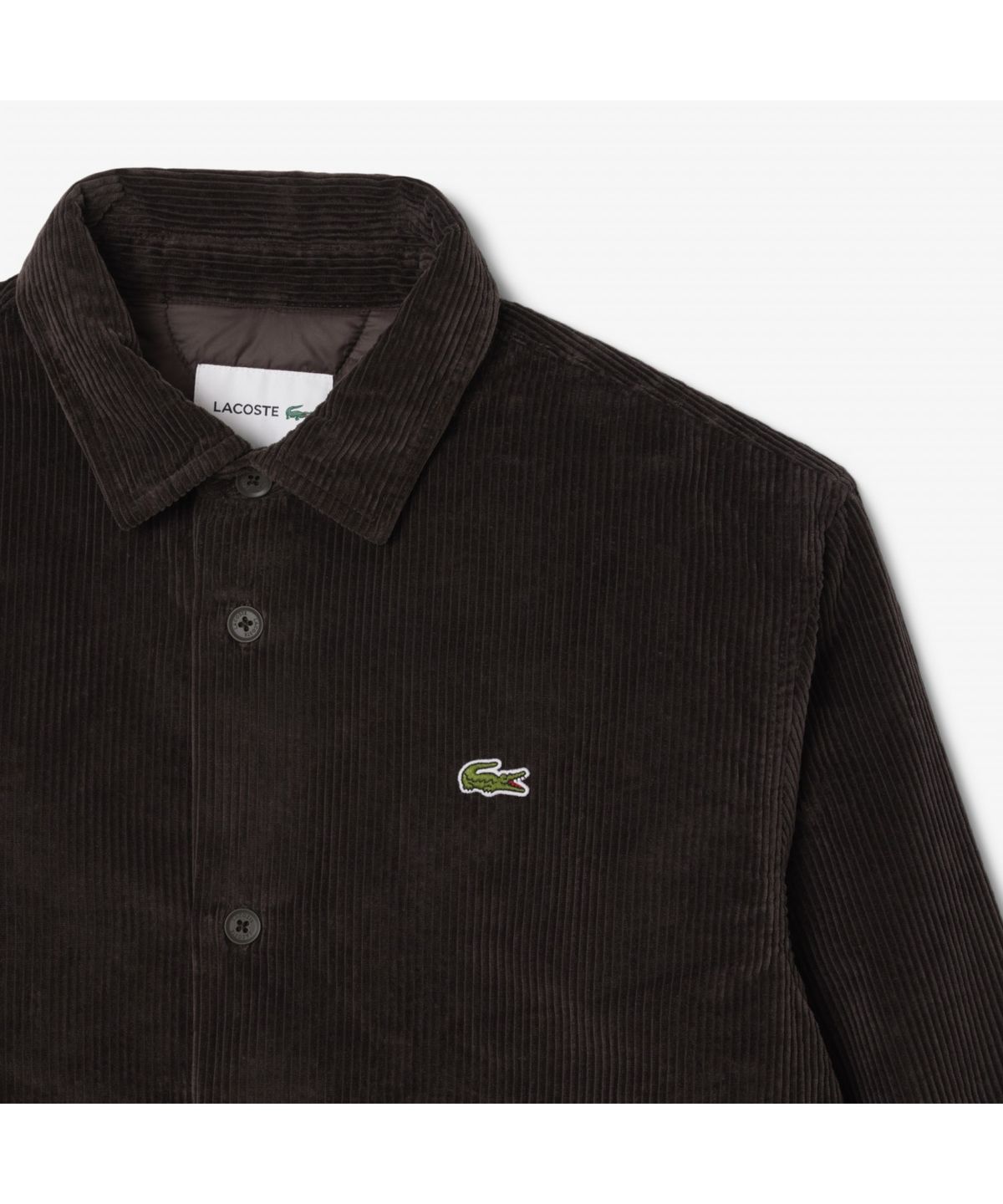 라코스테(LACOSTE) 남성 코듀로이 패딩 셔켓 CH7211-55N SKB