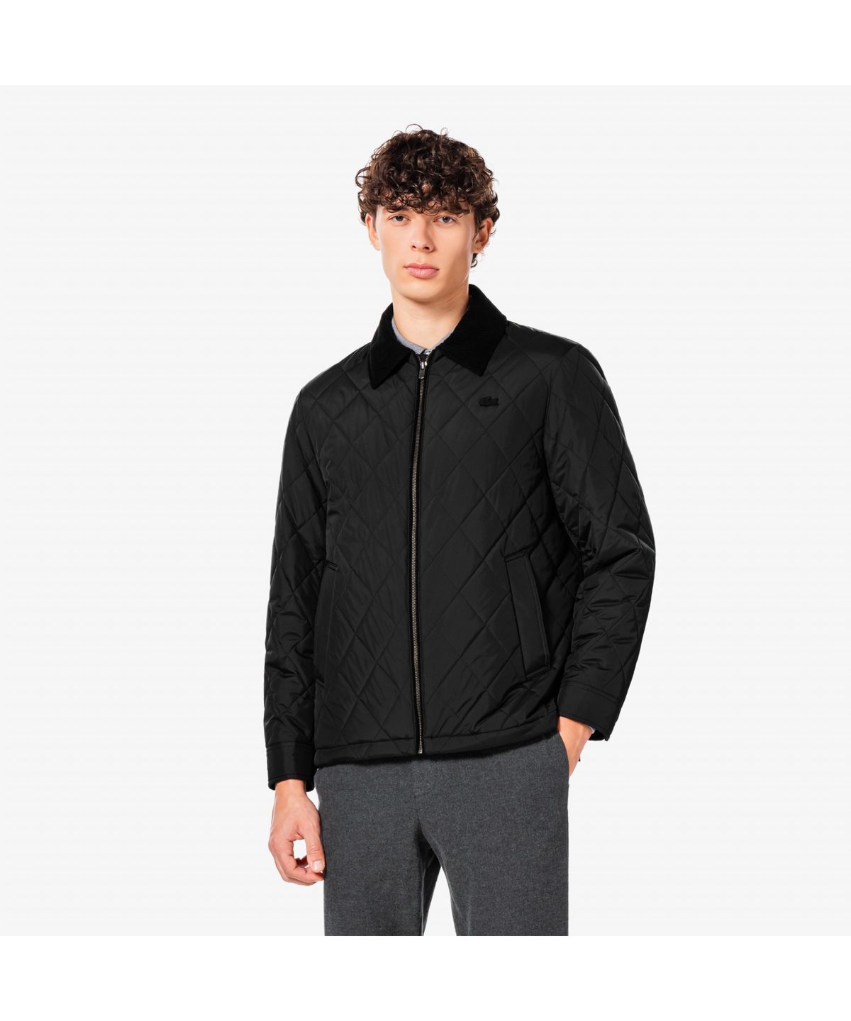 라코스테(LACOSTE) 남성 퀼팅 자켓 BH870E-55N 031