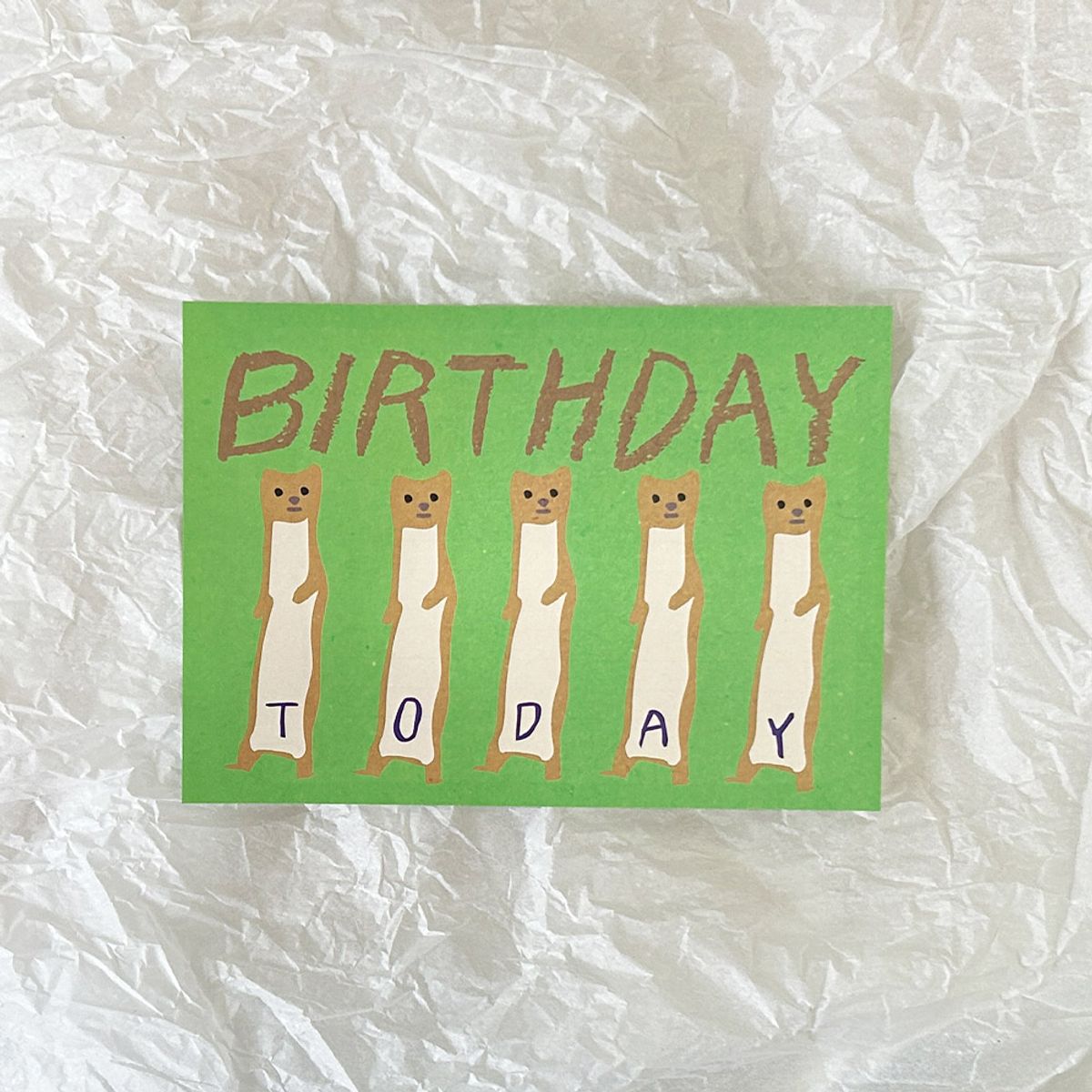 콩주편지(KONGJUDESIGNS) 족제비 생일 편지지 세트