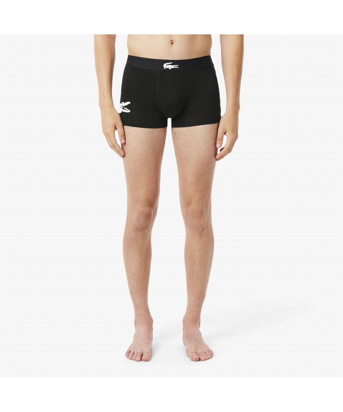 라코스테(LACOSTE) 남성 빅크록 남성 브리프 3PACK 5H1291-55N 9DI
