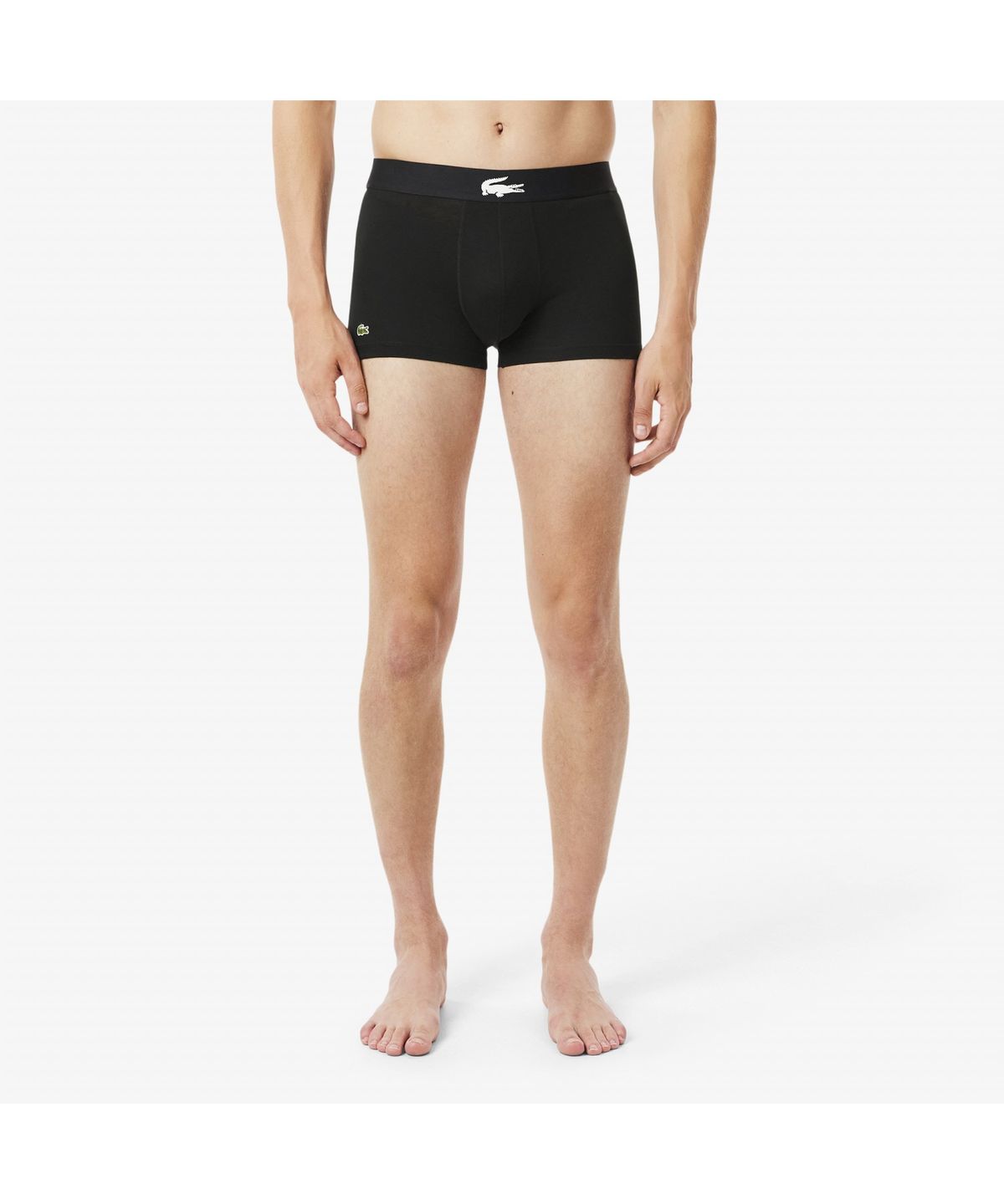 라코스테(LACOSTE) 남성 빅크록 남성 브리프 3PACK 5H1291-55N 9DI