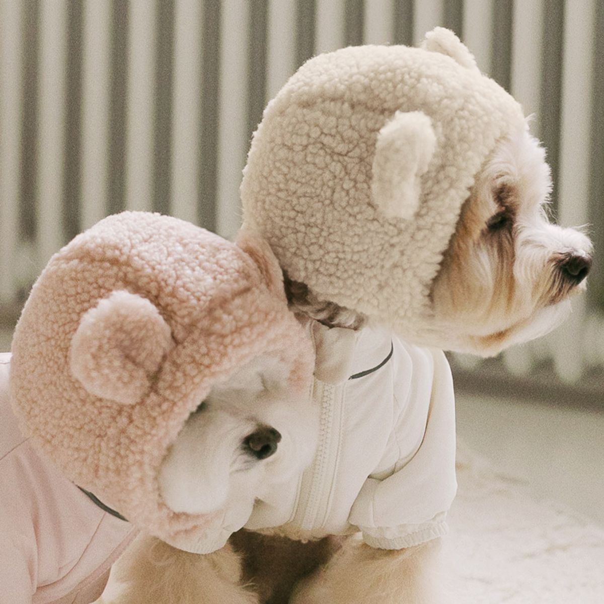 펫츠랜드(PETSLAND) 몽글베어모자 S-L