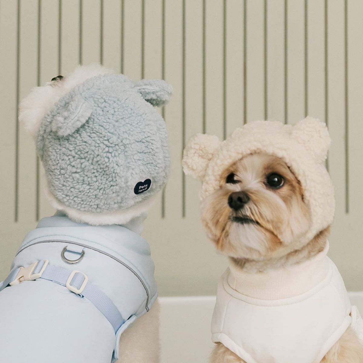 펫츠랜드(PETSLAND) 몽글베어모자 S-L
