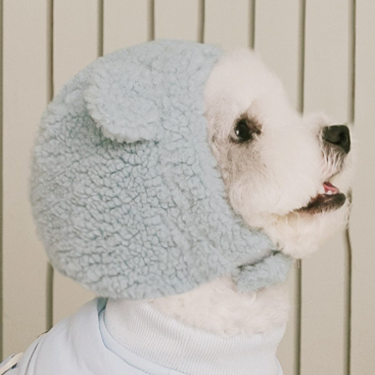 펫츠랜드(PETSLAND) 몽글베어모자 S-L