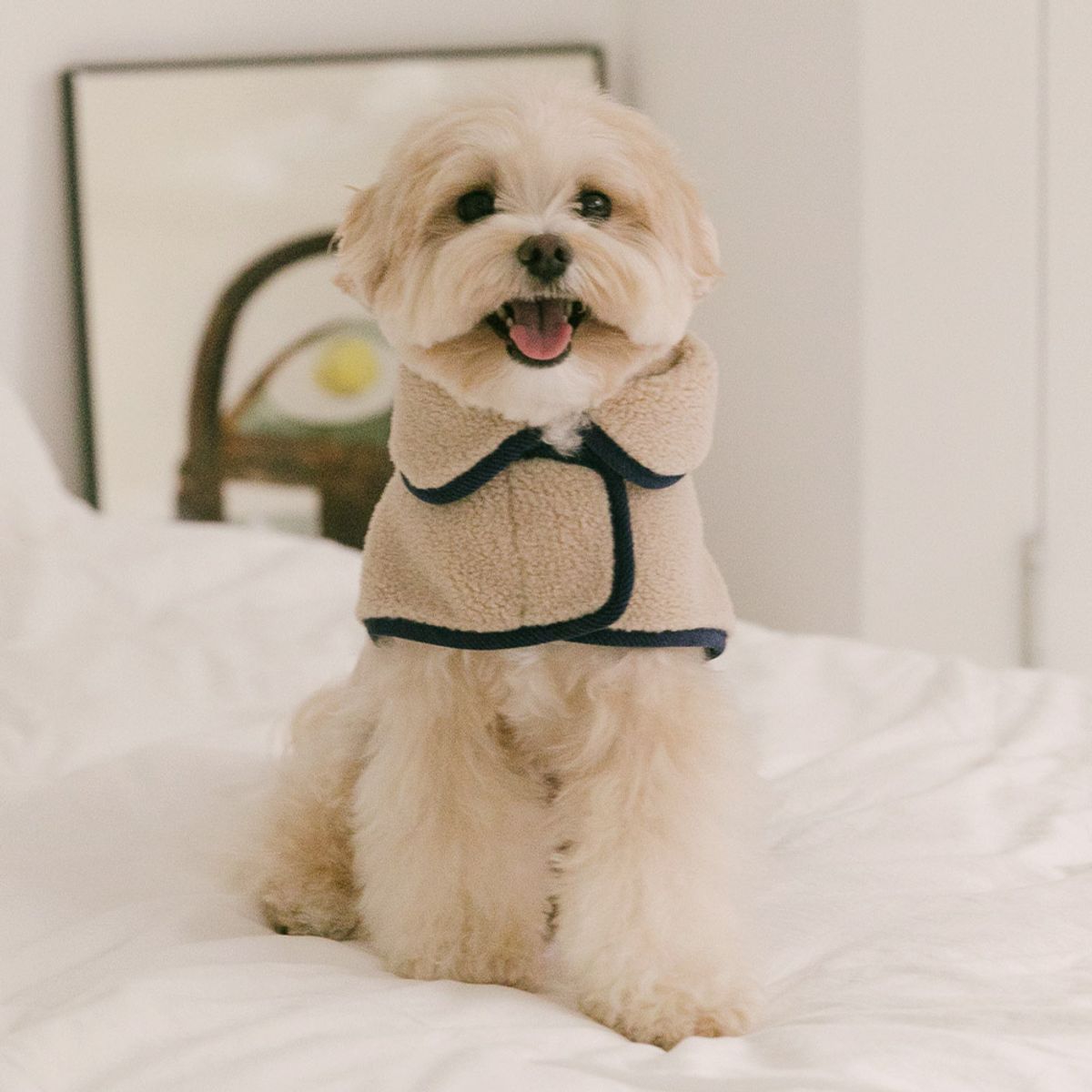 펫츠랜드(PETSLAND) 하트몽판초 S-2XL