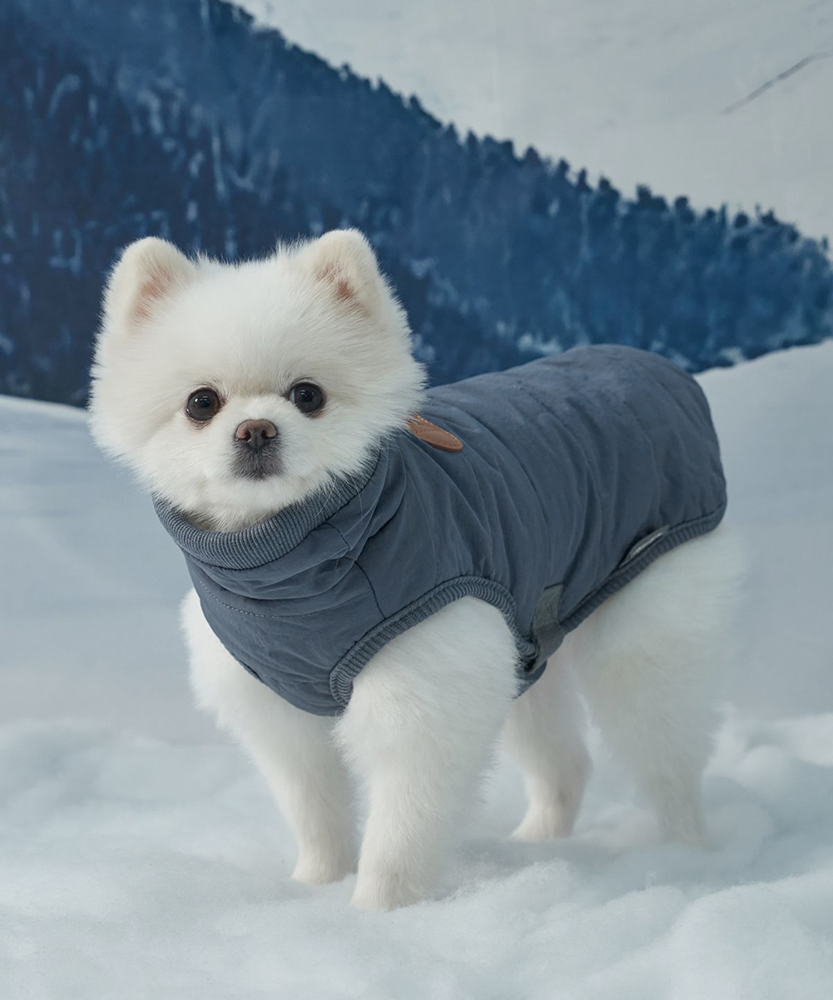 도그아이(DOGI) 강아지 아우터 넥워머 패딩 그레이