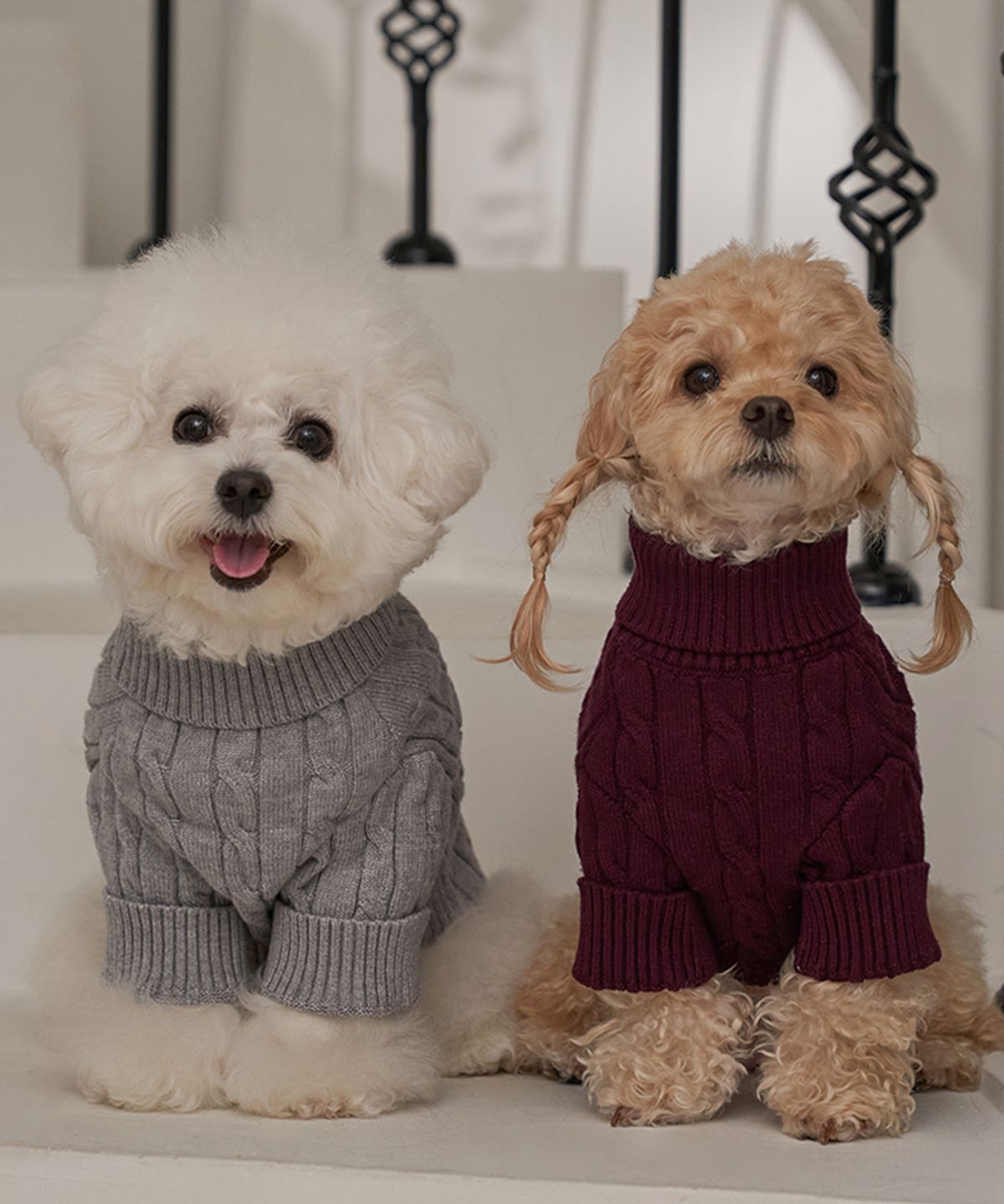 베일리(BAILEY) 강아지 겨울옷 테디 풀오버 니트 그레이