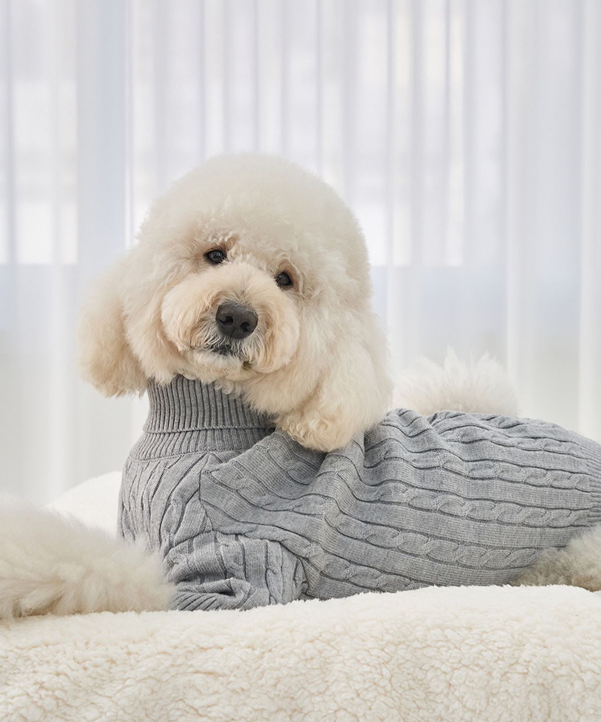 베일리(BAILEY) 강아지 중형견 대형견 테디 풀오버 니트 그레이